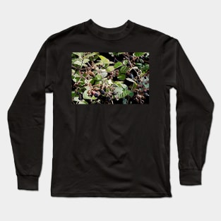 Blackberries Long Sleeve T-Shirt